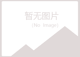 大庆山柳化学有限公司